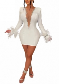 (White)2022 Styles Women Sexy Spring&Winter TikTok&Instagram Styles Mesh Sequin Long Sleeve Mini Dress