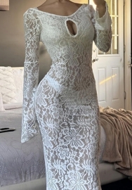 (Real Image)2024 Styles Women Cutout Sheer Back Long Sleeve Dress