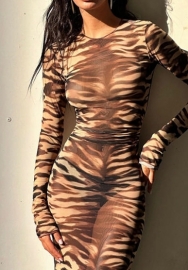 (Real Image)2024 Styles Women Autumn Animal Print Mesh Bodycon Sexy Dress with a Touch of Elegance